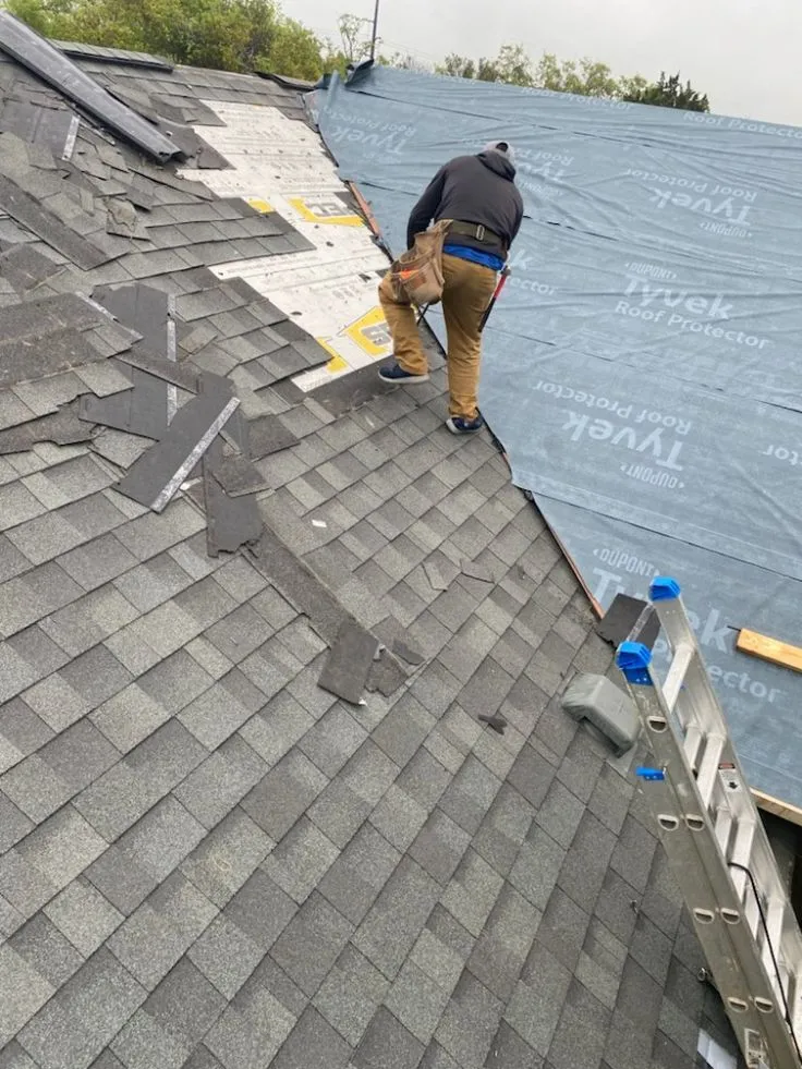 Professional roof installer replacing asphalt shingles on a residential home in Dania Beach, Florida under clear blue skies.