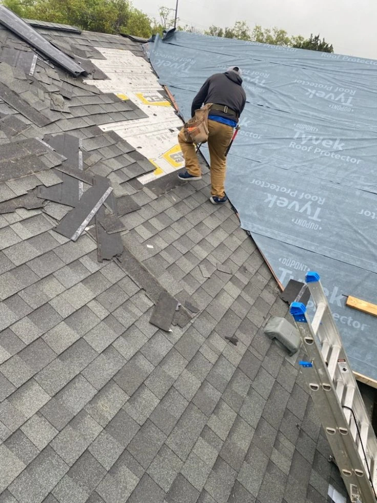Professional roof installer replacing asphalt shingles on a residential home in Dania Beach, Florida under clear blue skies.